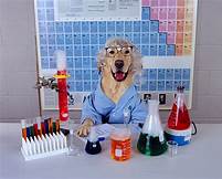 dog scientist
